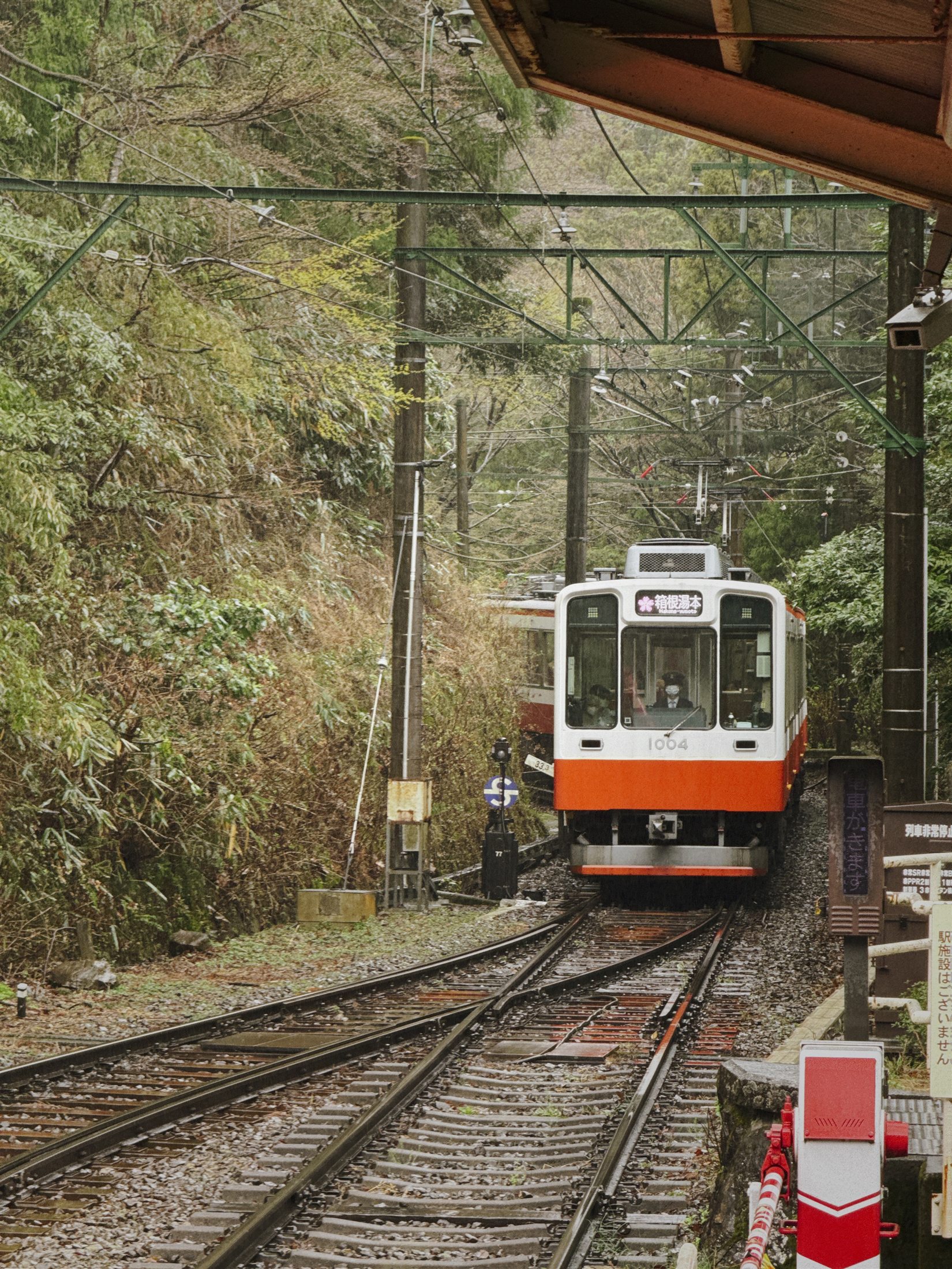 Mountain railway arriving at a forest station