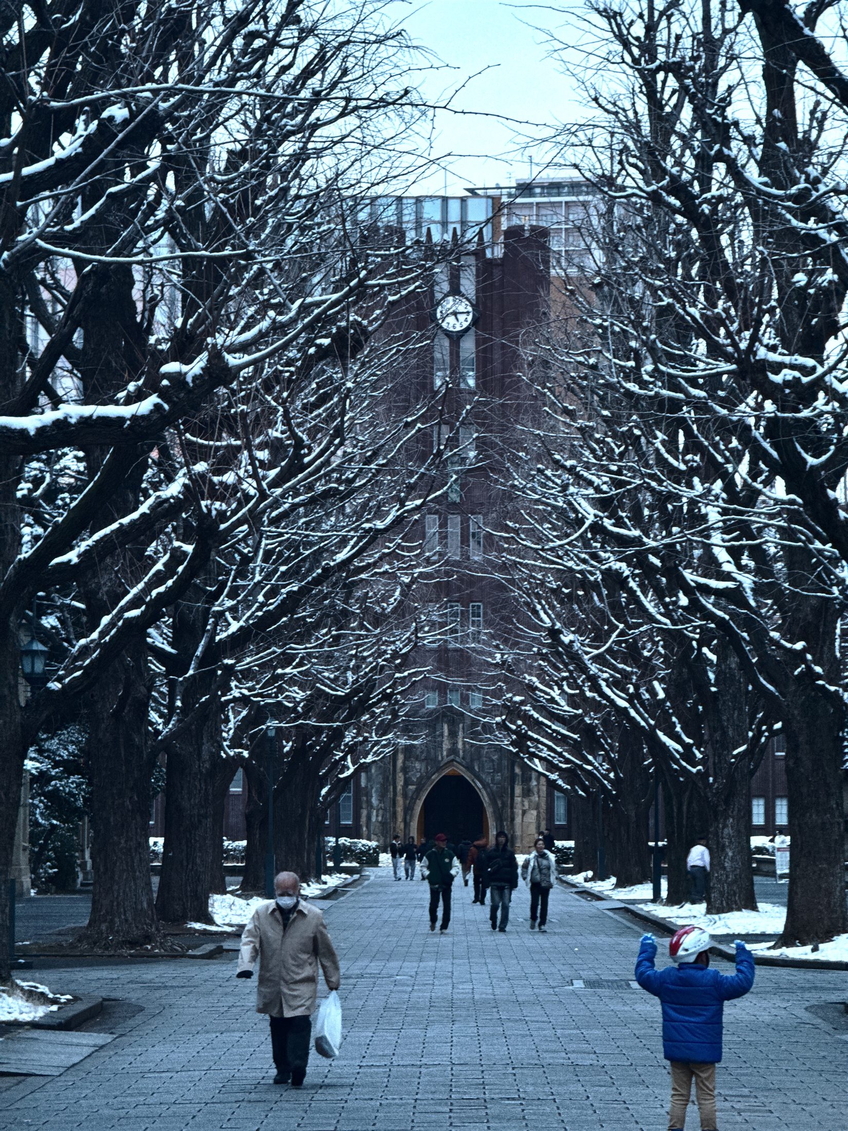 Snow-covered avenue at the University of Tokyo