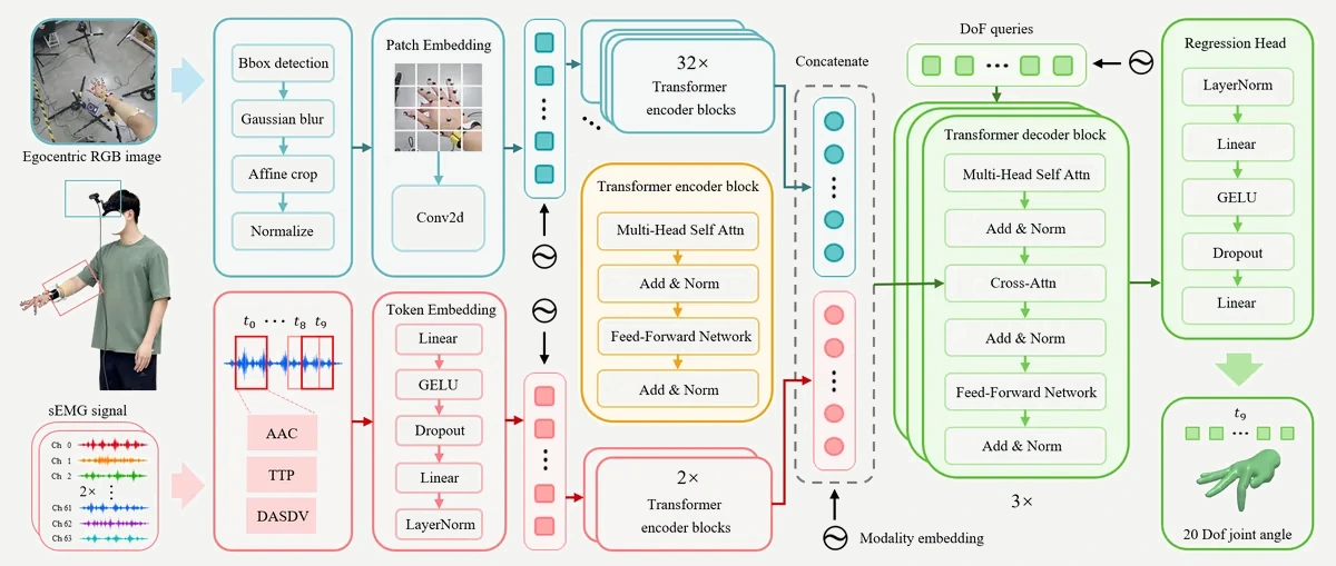 DoF-Query multimodal fusion architecture