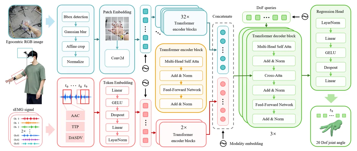 DoF-Query multimodal fusion architecture